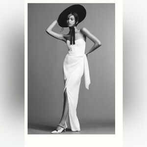 V Chapman June corset dress NWT